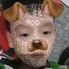 lehoanggiabao45