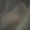 jhgyx