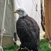 j.t.d20
