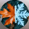 autumn__spice__