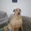 kokokolo86