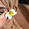 itx_harir.4k_