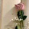 r._oa_n