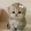 user824906247