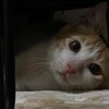 sarah_29912