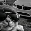 matej_budes