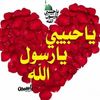 ayman.el.meligy