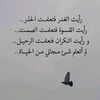 user3619556803458