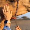 arwa.abdalla3
