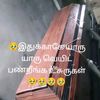 my.lifeveryshad