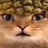 akevekdkw