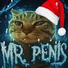 mr.peni_cat