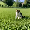 isthisvella