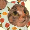 dimsumfish