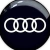 Audi Gabriel