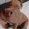 00_pedroo1
