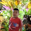 ht.xu.ho