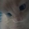 alex_jsc7