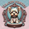 TeacupYorkies