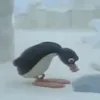 kantolad3