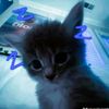 its_raaaa5