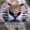 sar._.mon