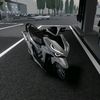 ripkynoprime
