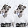 inun_saja