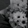 niissaa885