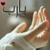 user7086506765211
