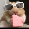 rody_rose2