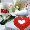 user36807070922427