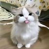 ayu.18069