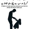 habiber.rahman4