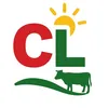 CAMPO LATINO