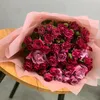 vzo_1