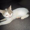 chil_b2