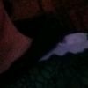 tyler.mccabe08