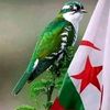 annaba23bk1