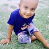 alom4019