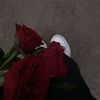 lames571175