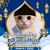 habibpelin.habib