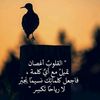 user9066995138395