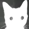 zi_75_w1