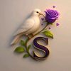 user2796361617657