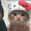 masarah_00