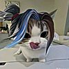 assasin_doly