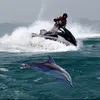 AQUADA