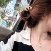 changia6
