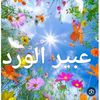 user92703998873220